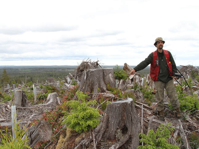 Haida Gwaii - Gerry locates a grouse nest