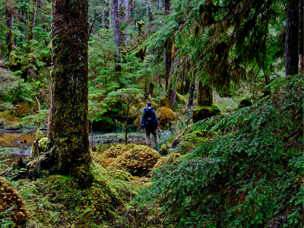 Haida Gwaii - Heath creekside